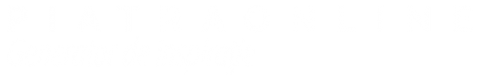 Piatra online logo2